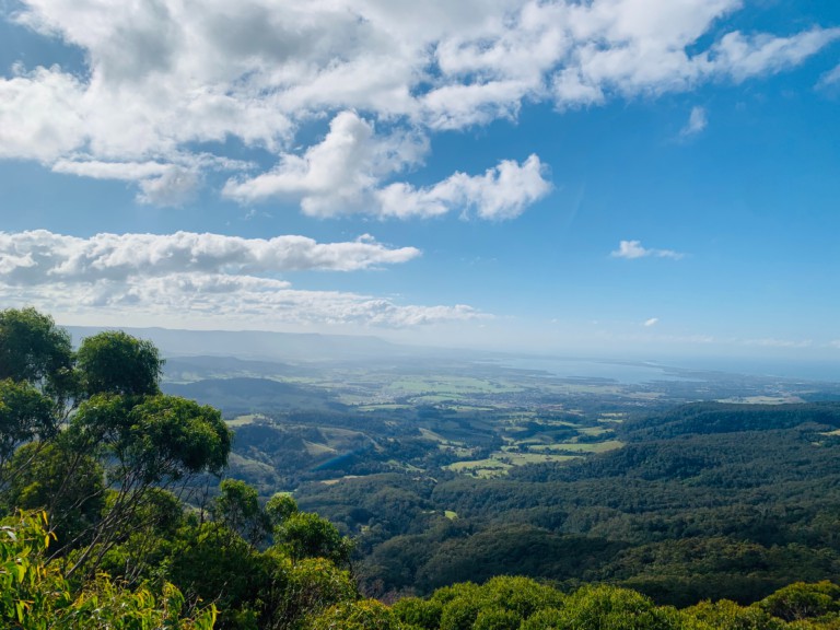 VM Bushfires Photo by Shirley Wang on Unsplash